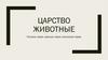 Царство животные. Плоские черви, круглые черви, кольчатые черви