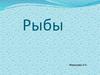 Рыбы