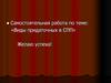 Самостоятельная работа по теме: «Виды придаточных в СПП»