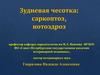 Зудневая чесотка. Саркоптоз, нотоэдроз