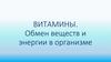 Витамины. Обмен веществ и энергии в организме