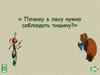 Почему в лесу надо соблюдать тишину?