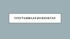 Программная инженерия