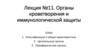 Органы кроветворения и иммунологической защиты