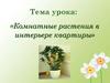 Комнатные растения в интерьере квартиры