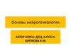 Основы нейропсихологии