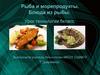Рыба и морепродукты. Блюда из рыбы (6 класс)