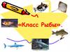 Класс Рыбы