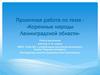 Коренные народы Ленинградской области  (3 класс)