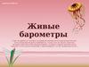 Живые барометры природы