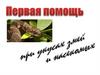 Первая помощь при укусе змеи и насекомых