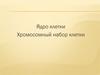 Ядро клетки. Хромосомный набор клетки