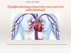Профилактика сердечно-сосудистых заболеваний