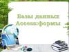 Базы данных Access:формы