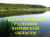 Лекарственные растения кировской области