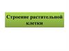 Строение растительной клетки
