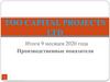 ТОО Capital Projects LTD. Отчет о деятельности