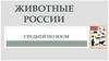 Животные России средней полосы