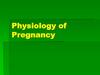 Physiology of Pregnancy