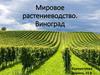 Мировое растениеводство. Виноград