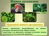 Признаки живых организмов