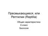 Пресмыкающиеся, или Рептилии (Reptilia)
