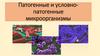 Патогенные и условно-патогенные микроорганизмы. Пищевые интоксикации