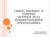 Синус, косинус и тангенс острого угла прямоугольного треугольника