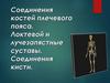 Соединения костей плечевого пояса. Локтевой и лучезапястные суставы. Соединения кисти