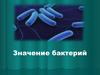 Значение бактерий