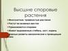 Высшие споровые растения. 7 класс