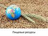 Пищевые ресурсы