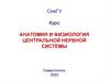 Анатомия и физиология центральной нервной системы