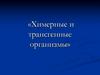 «Химерные и трансгенные организмы»