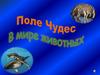 Поле чудес. В мире животных