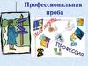 Профессиональная проба