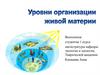 Уровни организации живой материи и экосистем