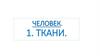 Человек. Ткани