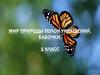 Мир природы полон украшений. Бабочки