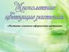 Многолетние цветущие растения «Растения сезонного оформления цветников»