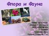 Флора и Фауна