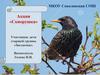Акция «Скворушка»: дети старшей группы