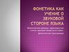 Фонетические единицы, характеристика слогов, звуковые процессы в словах, фонетическая транскрипция