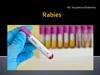 Rabies. Vocabulary