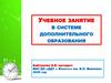 Учебное занятие в системе дополнительного образования