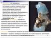 Минералогия. Кристаллохимия