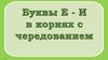 Буквы Е - И  в корнях с чередованием (5 класс )
