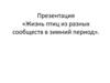 Жизнь птиц из разных сообществ в зимний период