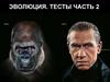 Эволюция. Тесты. Часть 2