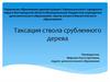 Таксация ствола срубленного дерева